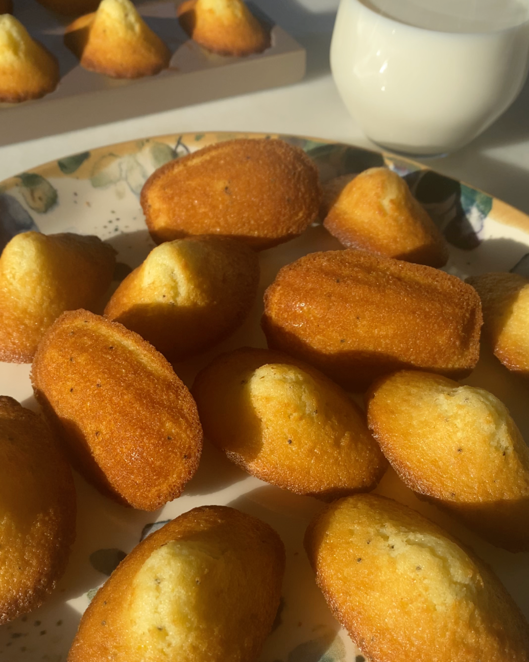 Classic French Madeleines (step by step)