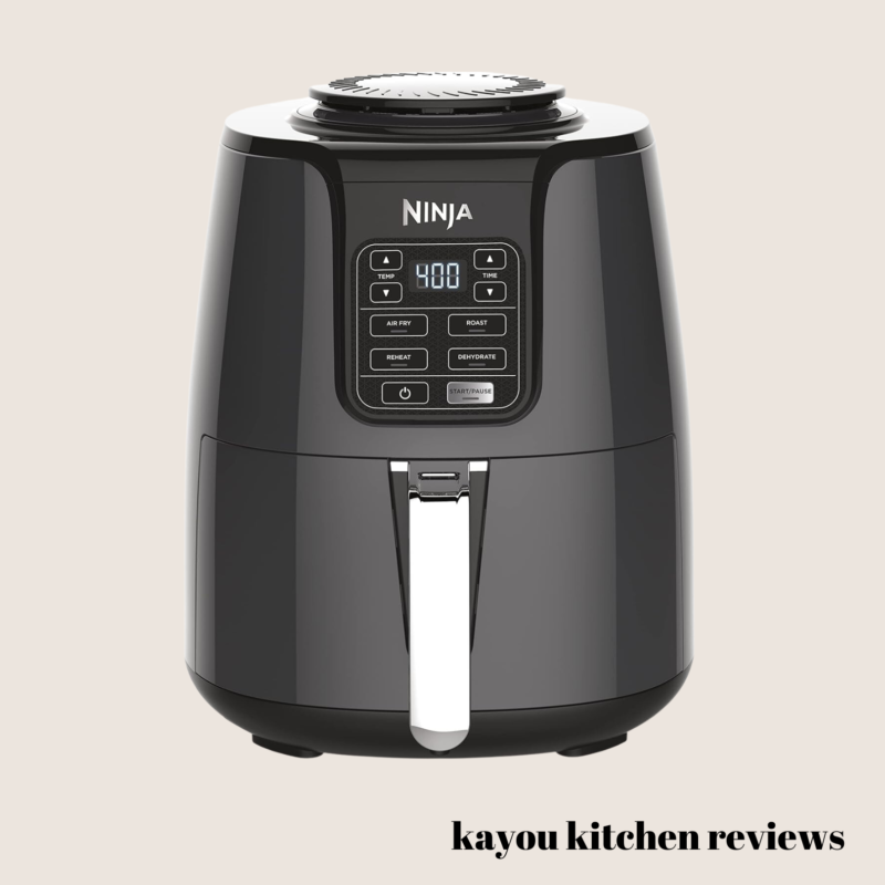 https://www.kayoukitchen.com/wp-content/uploads/2023/10/air-fryer-Ninja-AF101-e1697219125321.png